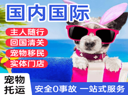 唐山航空邮寄国际宠物托运 【国